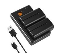 DSTE 2PCS NP-F330 NP-F550 NP-F570 (2900mAh/7.4V) Batteria Caricatore Compatibile per Sony NP-F970, NP-F750, TR716, TR818, TR910, TR917