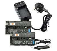 DSTE 2PCS batterie ricaricabili agli ioni di litio NP-F550 + DC01U da viaggio e da auto adattatore Compatibile per Sony CCD-RV100 CCD-RV200 CCD-SC5 CCD-SC5/E CCD-SC55E CCD-SC6 CCD-SC65 CCD-SC7 CCD-SC7/E