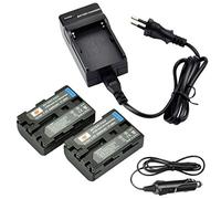 DSTE 2pcs NP-FM50 Batteria + Caricabatteria Compatibile per CCD-TR108 CCD-TR208 CCD-TR408 CCD-TR820