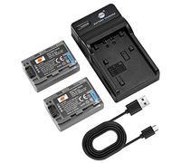 DSTE 2PCS NP-FP50 Batteria e Caricatore compatibile con DCR-30, DCR-DVD105, DCR-DVD202E, DCR-DVD203E, DCR-DVD205E, DCR-DVD304E, DCR-DVD305