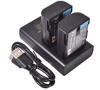 DSTE 2x DMW-BLF19E Ricambio Batteria + Caricatore doppio USB con display LCD Compatibile per DMW-BLF19 e Panasonic Lumix DMC-GH3,DMC-GH3GK,DMC-GH3H,DMC-GH3HGK,DMC-GH3KBODY,DMC-GH4H,DMC-GH4 Fotocamera