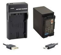 DSTE - Batteria agli ioni di litio e caricabatterie micro USB, compatibile con Panasonic CGA-D54, CGA-D54S, CGR-D54S, AG-DVC180A, AG-DVC30, AG-DVC60