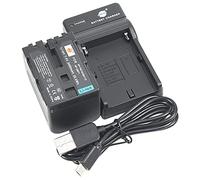 DSTE batteria agli ioni di litio e caricabatterie micro USB compatibile con Sony NP-FM70 NP-QM71 NP-QM71D DCR-PC115 DCR-PC120 DCR-PC330 DCR-TRV25 DCR-TRV27 DCR-TRV30 DCR-TRV33