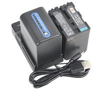 DSTE - Batteria agli ioni di litio e caricatore micro USB, compatibile con Sony NP-QM91D, CCD-TRV108E, CCD-TRV118, CCD-TRV126, CCD-TRV218E, CCD TRV308, confezione da 2