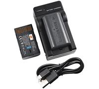 DSTE (confezione da 2) batteria agli ioni di litio e caricabatterie micro USB, compatibile con JVC BN-VF808U GZ-MG130 GZ-MG131 GZ-MG132