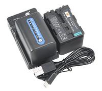 DSTE (confezione da 2) batteria agli ioni di litio e caricabatterie micro USB, compatibile con Sony NP-FM70 NP-QM71 NP-QM71D DCR-PC115 DCR-PC120 DCR-PC330 DCR-TRV25 DCR-TRV27 DCR-TRV30 DCR-TRV33