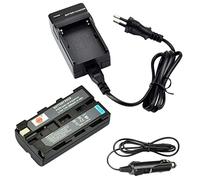 DSTE NP-F550 Ricambio Batteria + DC01E Caricabatteria Compatible per Sony NP-F330 NP-F570 CCD-RV100 CCD-RV200 CCD-SC5 CCD-SC5/E CCD-SC55E CCD-SC7/E CCD-SC8/E CCD-SC9 CCD-TR1 CCD-TR11 CCD-TR1100E