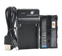 DSTE NP-F970 Li-ION - Batteria e caricabatterie USB per Sony CCD-TR716 CCD-TR818 CCD-TR910 CCD-TR917 CCD-TR930