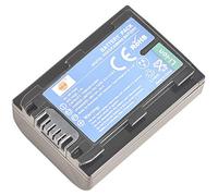 DSTE NP-FH50 Batteria di ricambio per Sony DSC-HX1 DSC-HX100V DSC-HX200V HDR-TG5V HDR-TG1E HDR-TG3 HDR-TG5 HDR-TG7