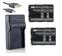 DSTE NP-FM500H Li-ION - Batteria (2-Pack) e caricatore USB per Sony A57, A58, A65, A65V, A77, A77V, A99
