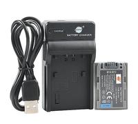 DSTE NP-FP50 batteria agli ioni di litio e caricabatterie micro USB, compatibile con Sony DCR-DVD103, DCR-DVD105, DCR-DVD203, DCR-DVD205, DCR-DVD305, DCR-DVD92, DCR-HC20