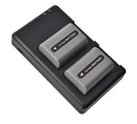 DSTE NP-FP50 Batteria di ricambio (2 pacchetti) e caricatore rapido doppio compatibile per Sony DCR-SR50 DCR-SR60 DCR-SR70 DCR-SR80 DCR-SR90 DCR-SR100 HDR-HC3