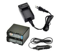 DSTE NP-QM91D Ricambio Batteria + DC01E Caricabatteria Compatibile per CCD-TRV128 CCD-TRV138 CCD-TRV228 CCD-TRV308 CCD-TRV318 CCD-TRV328 CCD-TRV338 DCR-DVD100 DCR-DVD101 DCR-DVD200 DCR-DVD201