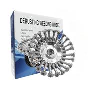 DSXPZBGED Testina for Decespugliatore Rotante in Filo d'Acciaio da 8 Pollici, Lama for Erbacce, Compatibile con Decespugliatori, Rimozione di Muschio, Erba E Ruggine.(6 inch)