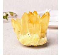DSZUJTYROP 1pc Amethyst Cluster Crystal Quartz Stone Rough Crystals Home Decor (Color : Yellow, Size 400-500g)