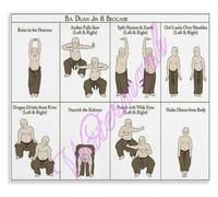 DSZUJTYROP Baduanjin Exercise Poster Traditional Chinese Movement Sequence Daily Practice Home Wall Hanging(Unframed,12x18inch(30x45cm))