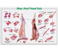 DSZUJTYROP Lamb Meat Cuts Canvas Wall-Art Poster | Butcher chart decor for kitchen living room(Unframed,16x24inch(40x60cm))