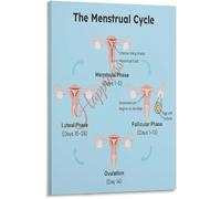DSZUJTYROP Period Cycle Hormone Level Diagram Poster Womens Health Ovulation Menstruation Guide Educational Canvas Wall-Art Living Room Bedroom(Unframed,12x18inch(30x45cm))