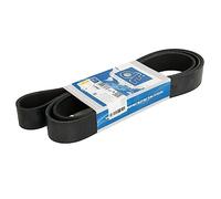 DT Spare Parts 1.21867 Cinghia servizi