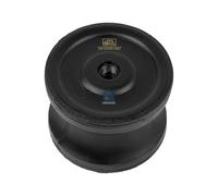 DT Spare Parts 1.27004 Supporto, Cambio per SCANIA