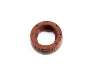 DT Spare Parts 3.21055 Paraolio. Pompa iniezione