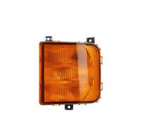 DT Spare Parts 3.31042 Indicatore di direzione