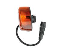 DT Spare Parts 3.31171 Indicatore di direzione