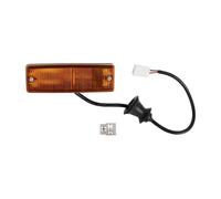 DT Spare Parts Indicatore di direzione 4.62824 destro per Mercedes-Benz NG 5.96 (1973-1996)