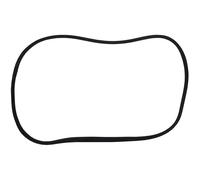 DT Spare Parts 4.80258 Guarnizione, Vetro laterale