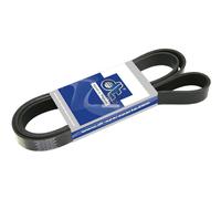 DT Spare Parts 4.81701 Cinghia servizi