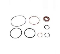 DT Spare Parts 4.90498 Kit guarnizioni, Pompa idraulica
