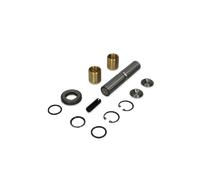 DT Spare Parts 4.91118 Kit riparazione, Perno fuso a snodo