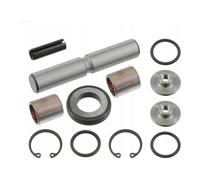 DT Spare Parts 4.91570 Kit riparazione, Perno fuso a snodo