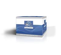 DT Spare Parts 7.38552 Asse Posteriore Adatto A per Iveco