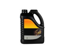 DT Spare Parts 9.58041 Olio differenziale