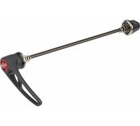 DT Swiss Acciaio RWS 145Mm Con Leveraggio In Alluminio