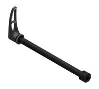 Dt Swiss Asse Passante Rws 10 E-thru Black