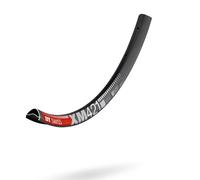 DT Swiss Cerchio XM 421 Disco 29 " 32-Loch Nero