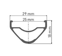 Dt Swiss Cerchione Xr 391 Disc Black