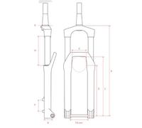 Forcella DT Swiss F 232 One 29' Lineair Remoto Asse passante 15x110mm BOOST nero - 100mm