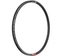 Dt Swiss Cerchione Fr 541 29´´ Disc Tubeless