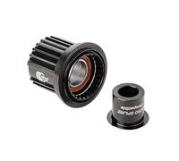 Dt Swiss Shimano Micro Spline Ratchet Light Kit Bearing Balls Nero 12 x 142/148 mm Black