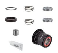Dt swiss ratchet ln sram xd freehub body kit