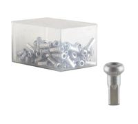 DT Swiss Nascosto Nipples Raggi Capezzolo Lega 2.0 x 12mm Argento Scatola Di 100