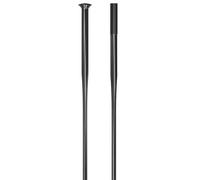 DT Swiss Raggi piatti Revolite Straightpull 2.0x1.3x304mm