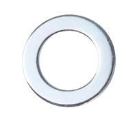 Dt Swiss Rondella Phr Ii 100 Unità Silver