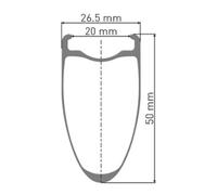 Dt Swiss Ruota Anteriore Da Strada Arc 1100 Dicut 50 650b isc Tubeless Black