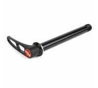 Dt Swiss Rws 10 Through Axle Argento 12 x 142 mm