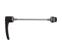 DT Swiss Rws Qr Acciaio Spiedini Hub Spiedo MT / Pallini Piedi Stealth 100x5mm