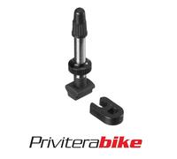 DT SWISS VALVOLA DT TUBELESS R6.5 40 MM TVXXXXXS29832S